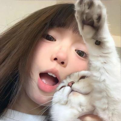狐狸与猎狗
