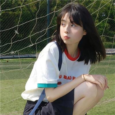 光荣之路上的狗
